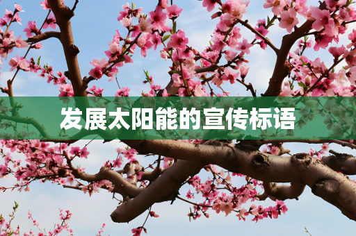 发展太阳能的宣传标语