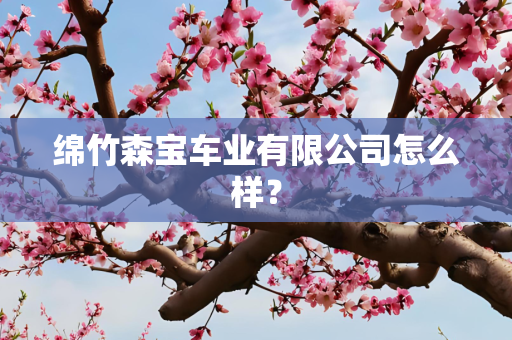 绵竹森宝车业有限公司怎么样？