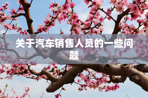 关于汽车销售人员的一些问题