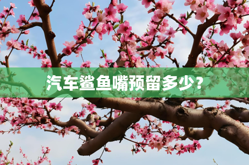 汽车鲨鱼嘴预留多少？