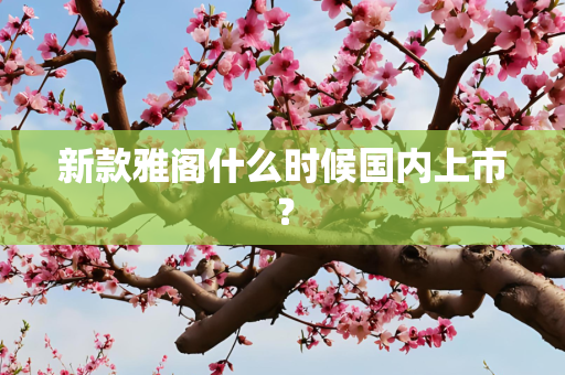 新款雅阁什么时候国内上市？