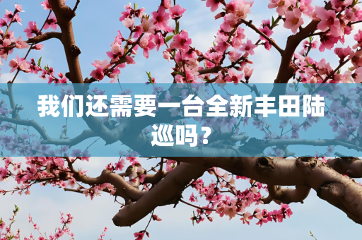 我们还需要一台全新丰田陆巡吗？