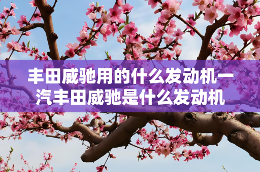 丰田威驰用的什么发动机一汽丰田威驰是什么发动机