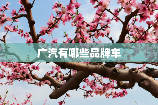 广汽有哪些品牌车