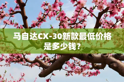 马自达CX-30新款最低价格是多少钱？