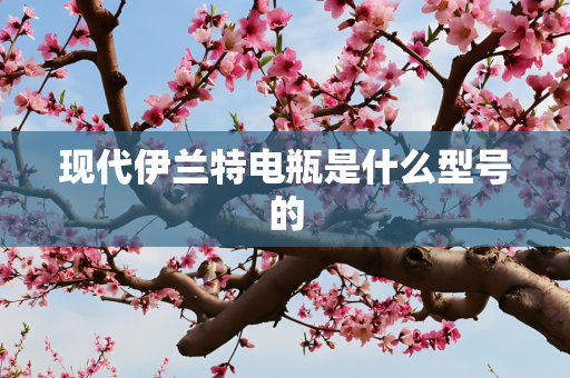 现代伊兰特电瓶是什么型号的