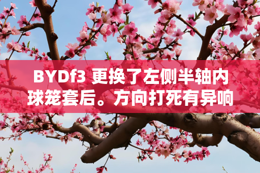 BYDf3 更换了左侧半轴内球笼套后。方向打死有异响！问题大么？