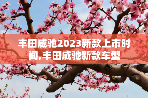 丰田威驰2023新款上市时间,丰田威驰新款车型