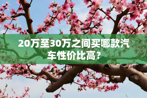 20万至30万之间买哪款汽车性价比高？