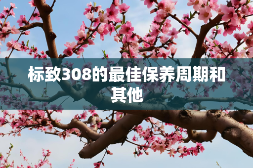 标致308的最佳保养周期和其他