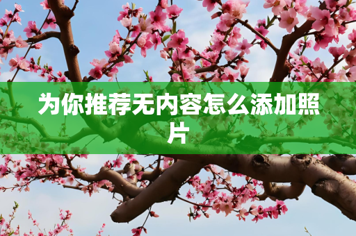 国际 第268页