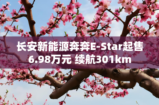 长安新能源奔奔E-Star起售6.98万元 续航301km
