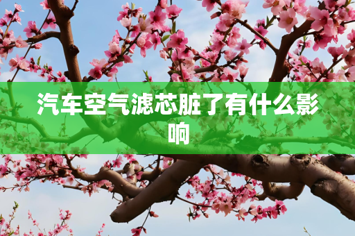 汽车空气滤芯脏了有什么影响