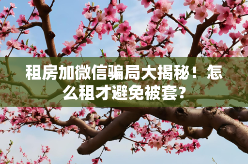 租房加微信骗局大揭秘！怎么租才避免被套？