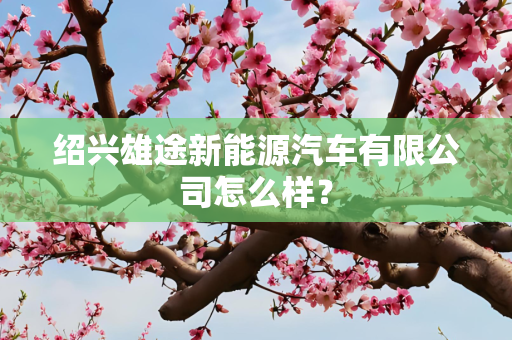 绍兴雄途新能源汽车有限公司怎么样？