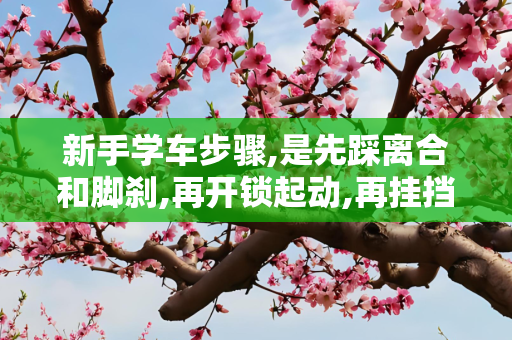 新手学车步骤,是先踩离合和脚刹,再开锁起动,再挂挡,再拉手刹吗?