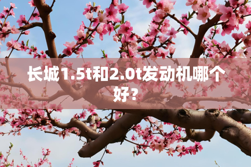 长城1.5t和2.0t发动机哪个好？