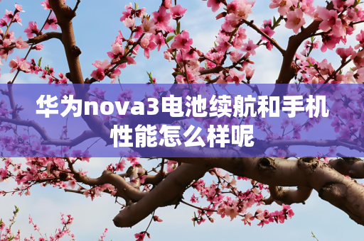 华为nova3电池续航和手机性能怎么样呢