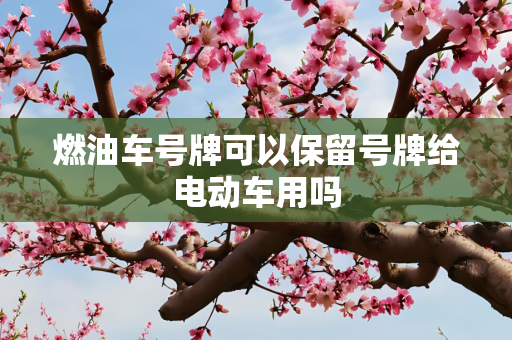 燃油车号牌可以保留号牌给电动车用吗