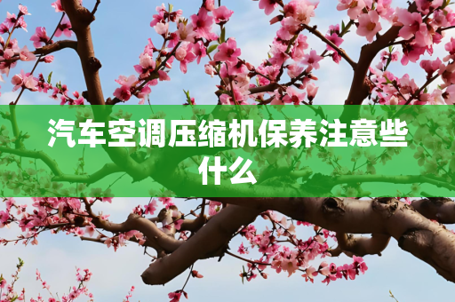 汽车空调压缩机保养注意些什么