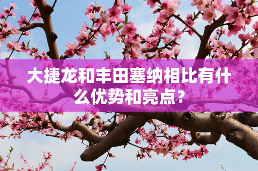 大捷龙和丰田塞纳相比有什么优势和亮点？