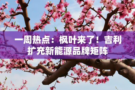 一周热点：枫叶来了！吉利扩充新能源品牌矩阵