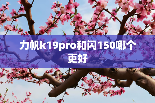 力帆k19pro和闪150哪个更好