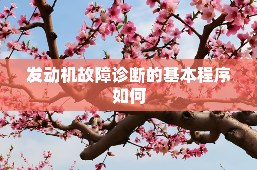 发动机故障诊断的基本程序如何