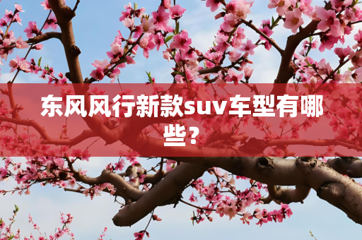 东风风行新款suv车型有哪些？