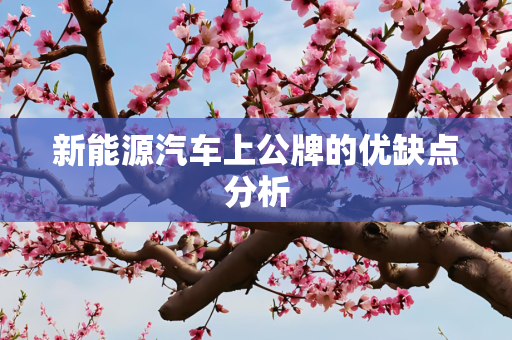 新能源汽车上公牌的优缺点分析