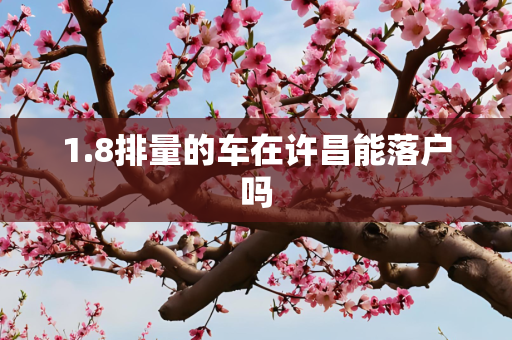 1.8排量的车在许昌能落户吗