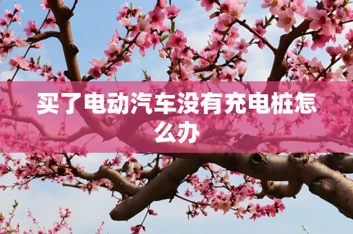 买了电动汽车没有充电桩怎么办