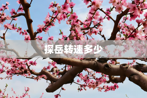 探岳转速多少