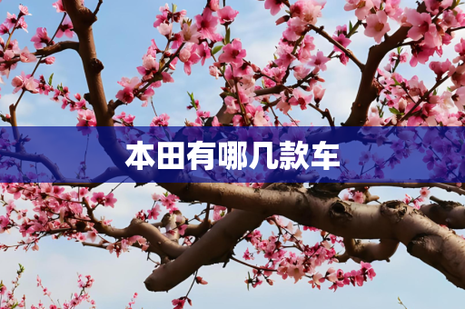 第604页