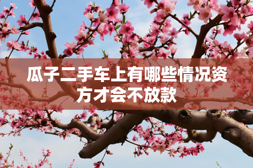 瓜子二手车上有哪些情况资方才会不放款