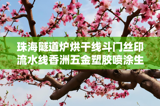 珠海隧道炉烘干线斗门丝印流水线香洲五金塑胶喷涂生产线自动化喷漆烤粉隧道炉厂家