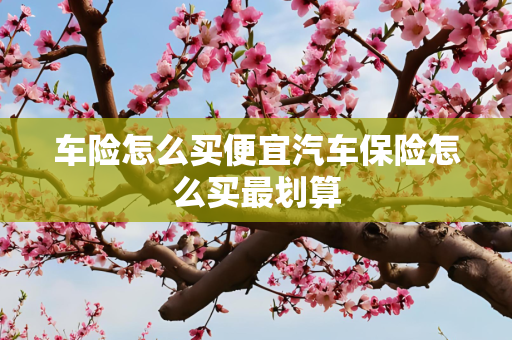 车险怎么买便宜汽车保险怎么买最划算