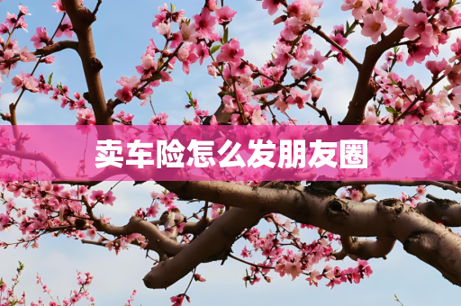 卖车险怎么发朋友圈