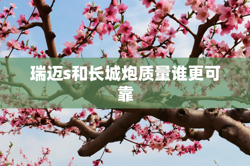 瑞迈s和长城炮质量谁更可靠