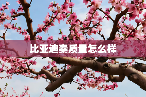 比亚迪秦质量怎么样