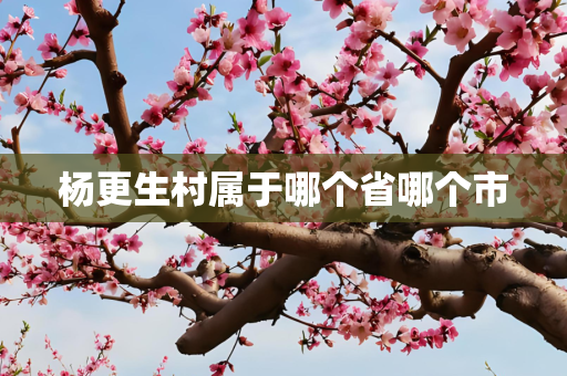 杨更生村属于哪个省哪个市