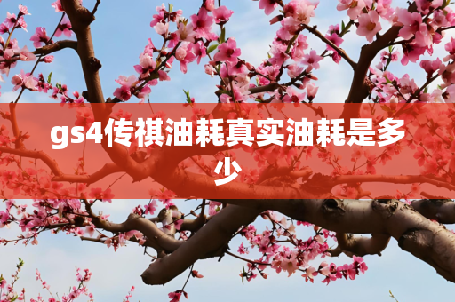 gs4传祺油耗真实油耗是多少