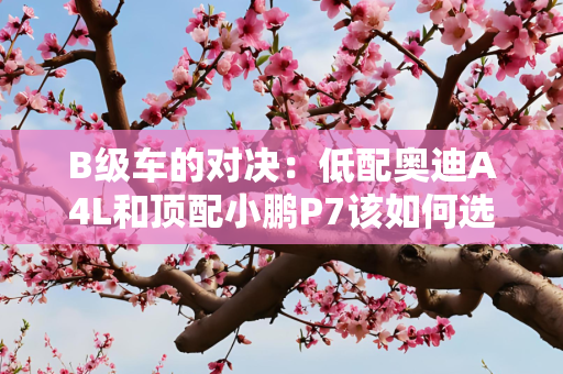 B级车的对决：低配奥迪A4L和顶配小鹏P7该如何选？