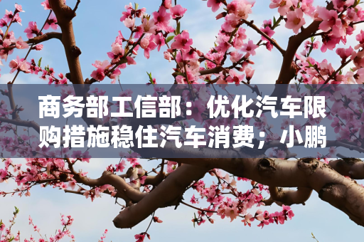 商务部工信部：优化汽车限购措施稳住汽车消费；小鹏收购福迪汽车