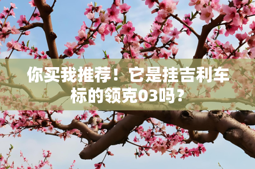你买我推荐！它是挂吉利车标的领克03吗？