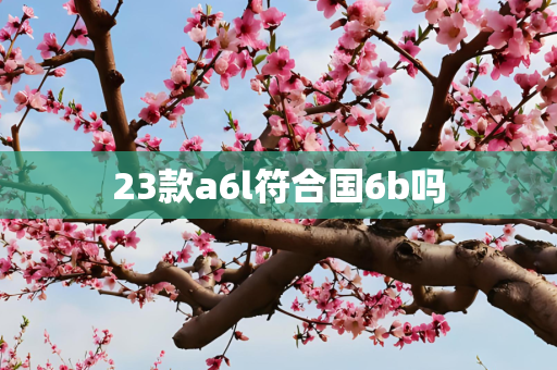 23款a6l符合国6b吗