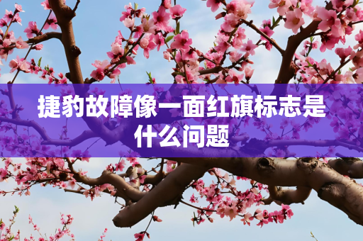 捷豹故障像一面红旗标志是什么问题