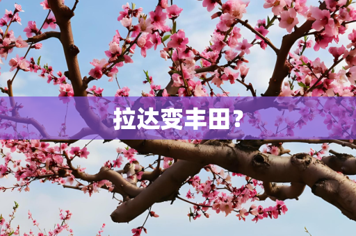 拉达变丰田？