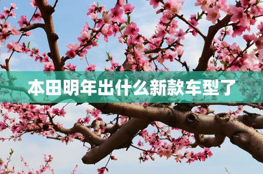 本田明年出什么新款车型了