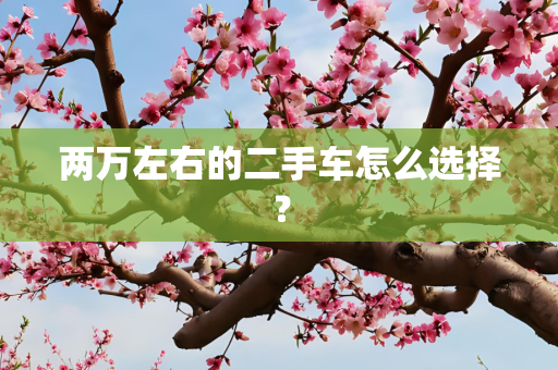 两万左右的二手车怎么选择？